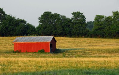 Cattle shelter at sunset