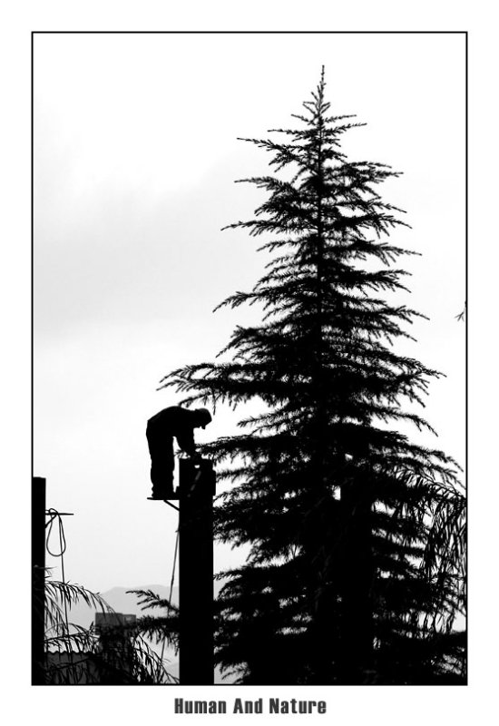 Human & Nature