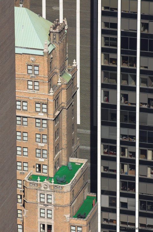 Green area suspended in the Air in New York (2).jpg