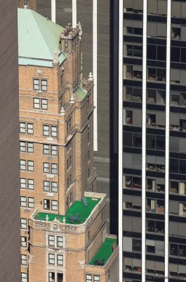 Green area suspended in the Air in New York (2).jpg