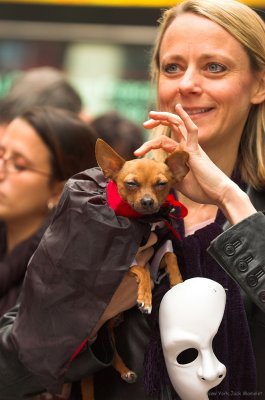 Happyness at Street Dog Show at Times Sqare. New York (3).jpg