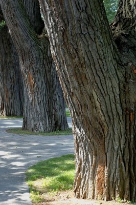 Parc Lafontaine