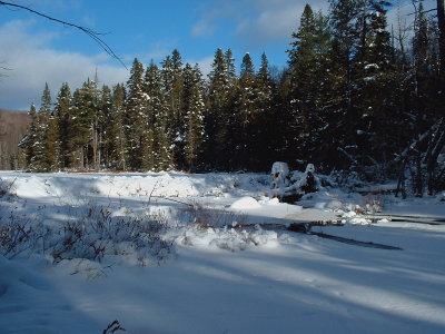 Beaver dam, Hautes- Laurentides, Québec, Canada