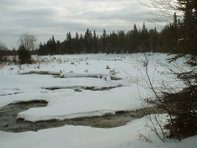 Ruisseau des cornes en hiver