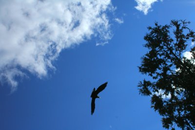 g6/33/744833/3/74724868.gXTmHlqm.jpg