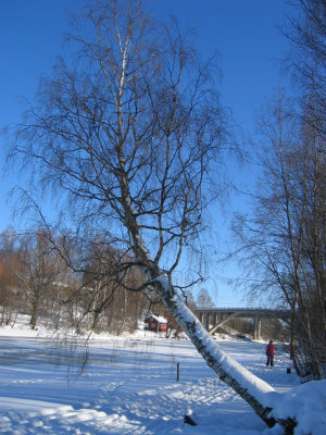 Ranta