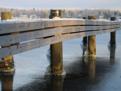 Laituri