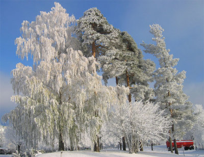 marraskuu2006
