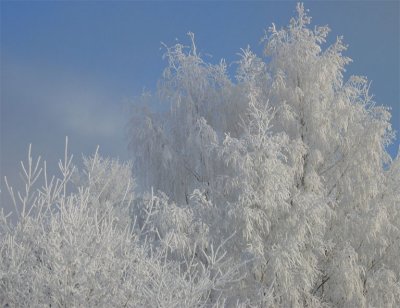 Huurre 2