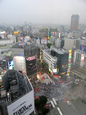 IMG_1735a.jpg