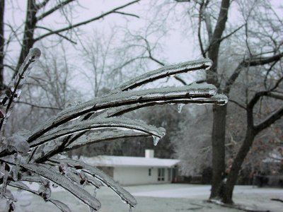 Aftermath of an ice storm, January 15, 2007