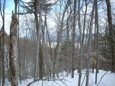 Lake George through the trees, from the turn at the steep section