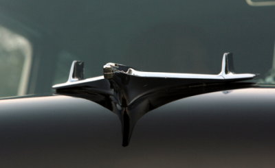 RJ5A1624.JPG