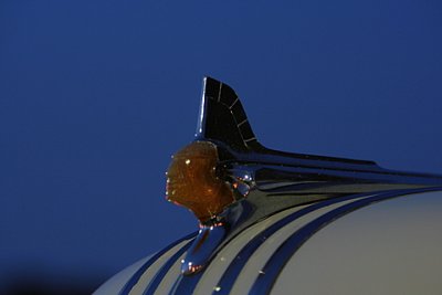 RJ5A1659.JPG