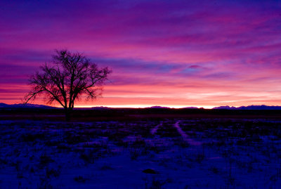 snowy sunrise