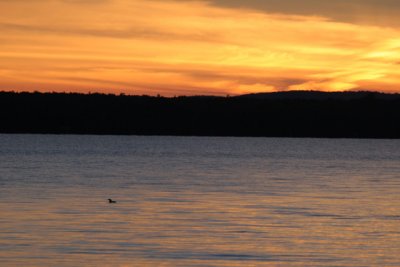Lake Gogebic Vacation
