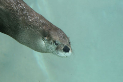 Detroit Zoo