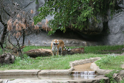Det Zoo 20D 098001.jpg