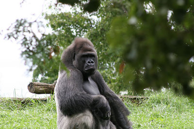Det Zoo 20D 360001.jpg