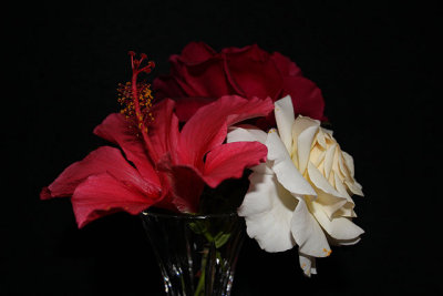 October Flowers