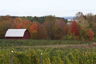 Wine Weekend 2007 063001.jpg