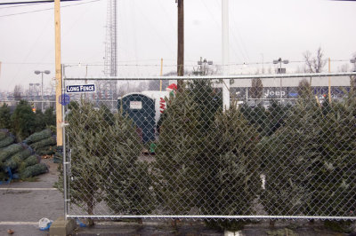 DSC_0009.jpg