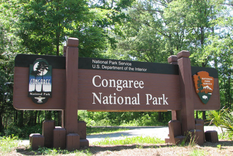 Congaree