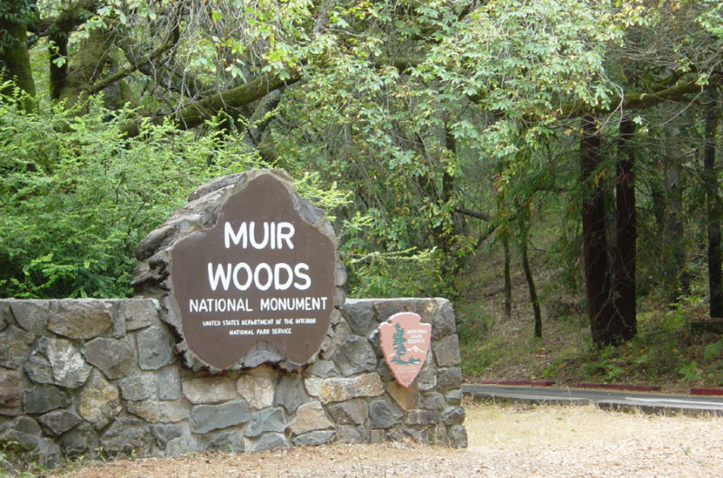 Muir Woods