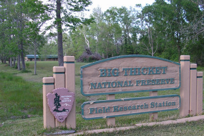 Big Thicket