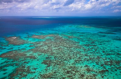 Moore Reef, part of Great Barrier Reef
