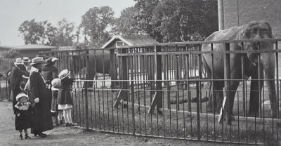 Zoo in 1914