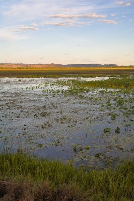 Wetlands of Hawk Dreaming at sunset