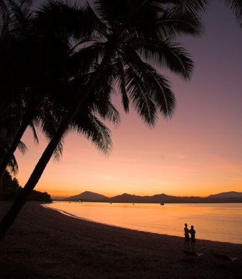 Dunk Island palm tree sunset #1