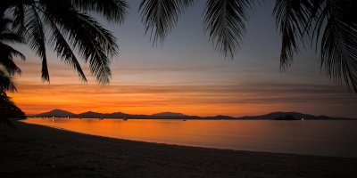 Dunk Island palm tree sunset #2