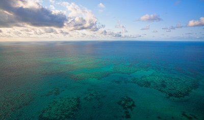 Great Barrier Reef - 5