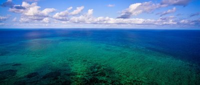 Great Barrier Reef - 6
