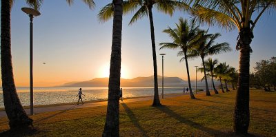 Cairns Esplanade and palm trees at sunrise