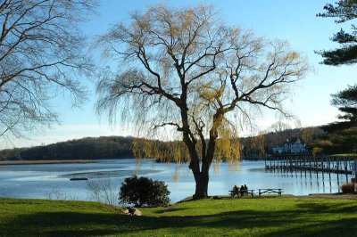 Essex Cove