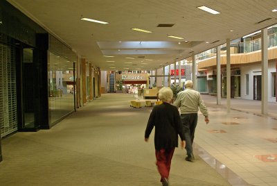 Silver-crested Mall Walkers