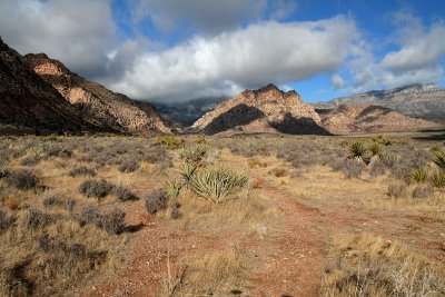 IMG_1235prt.jpg
