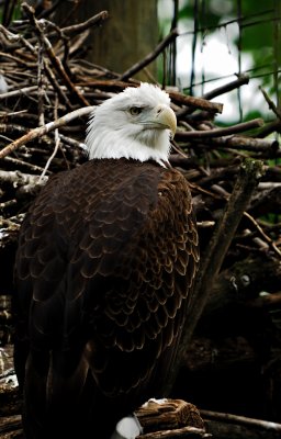 g6/34/197834/3/79185609.eiLBER4t.jpg