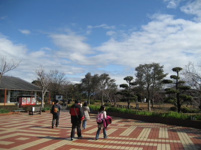 park