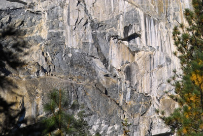 IMG06115.jpg Yosemite El Capitan rockclimbers 105mm EX (see notes)