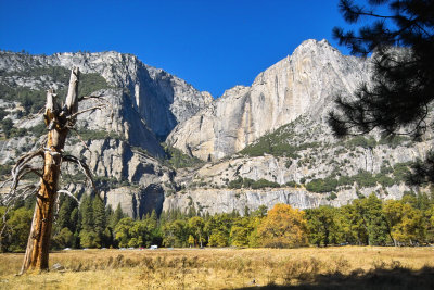 IMG06065.jpg meadow Yosemite Falls (dry)