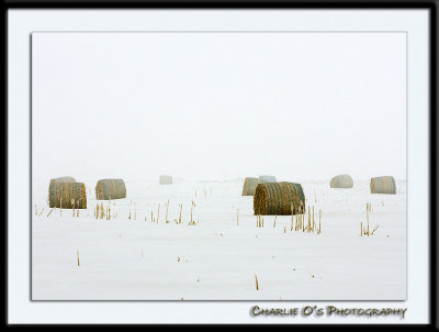 Cold Bales...