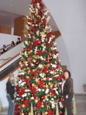 The tree at the Disney Concert Hall.JPG