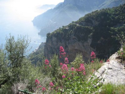 Bright wildflowers against the impressive drop.jpg