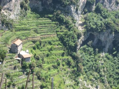 Farm houses amid the terraces.jpg