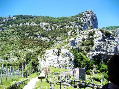 The pathway leads up and up.jpg
