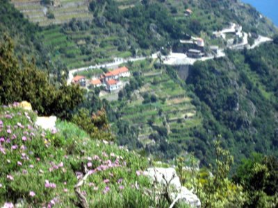 Wildflowers dot the lush hillsides.jpg